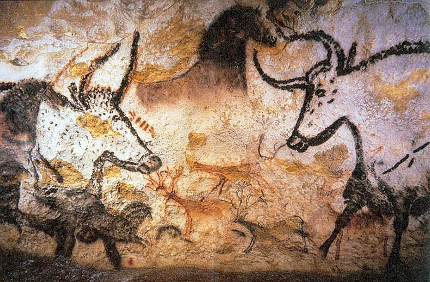 Cave paintings from lascaux caves, circa 15,000bc.