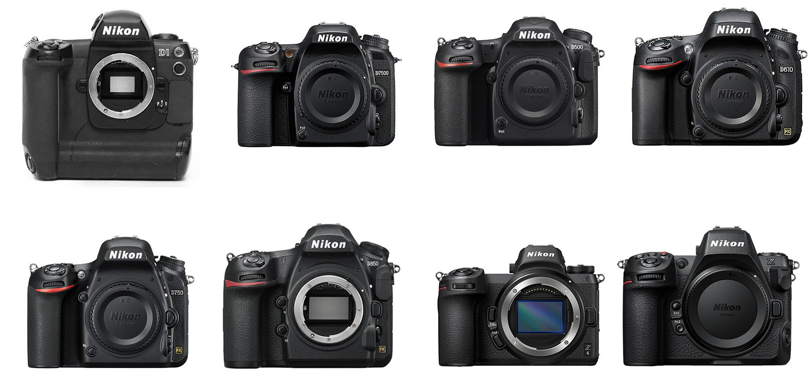 Nikon Professional Digital Cameras