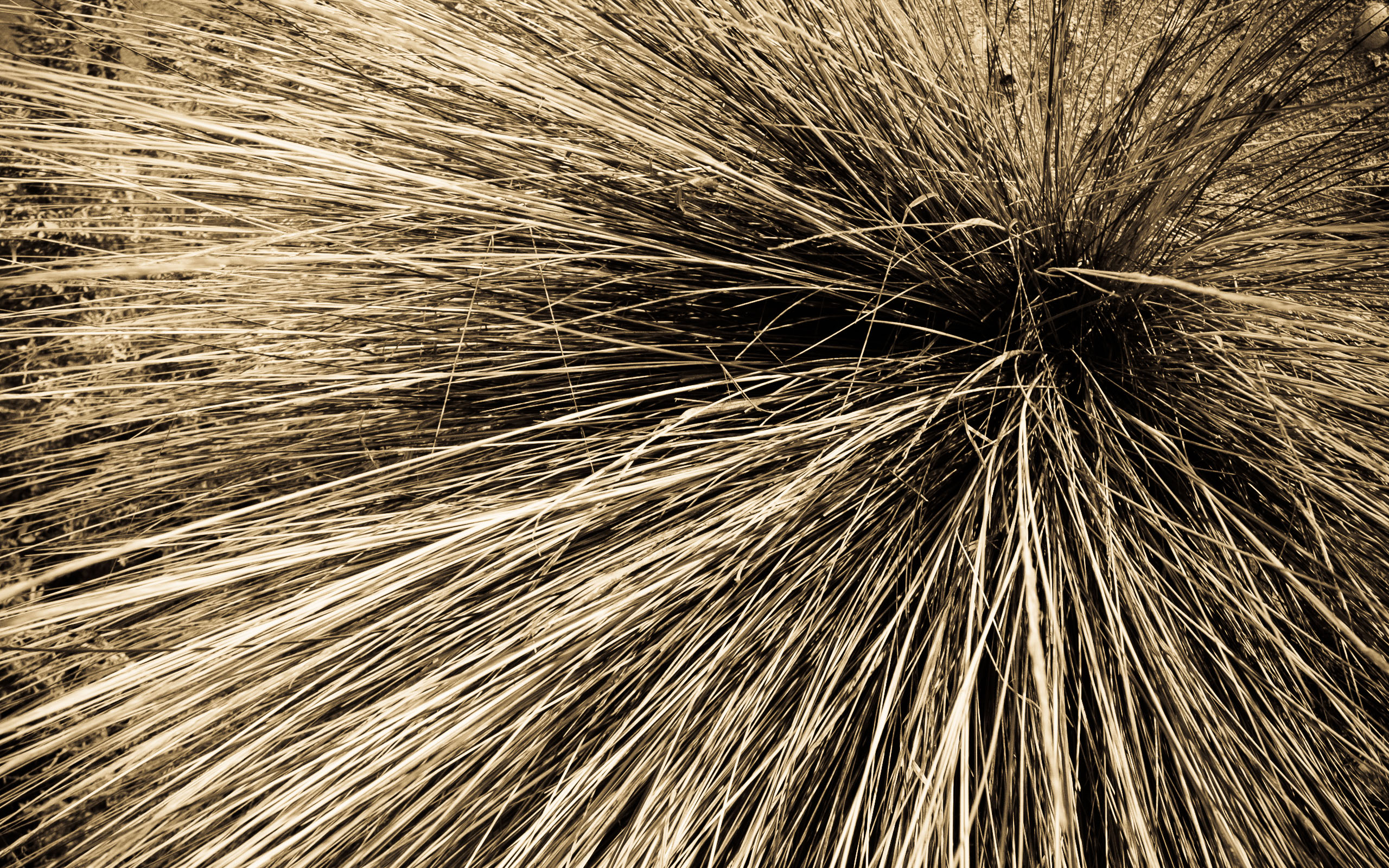 Needle in a haystack